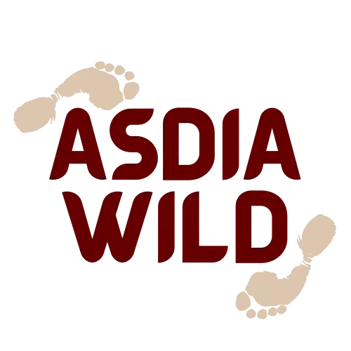 Asdia Wild (Pty) Ltd